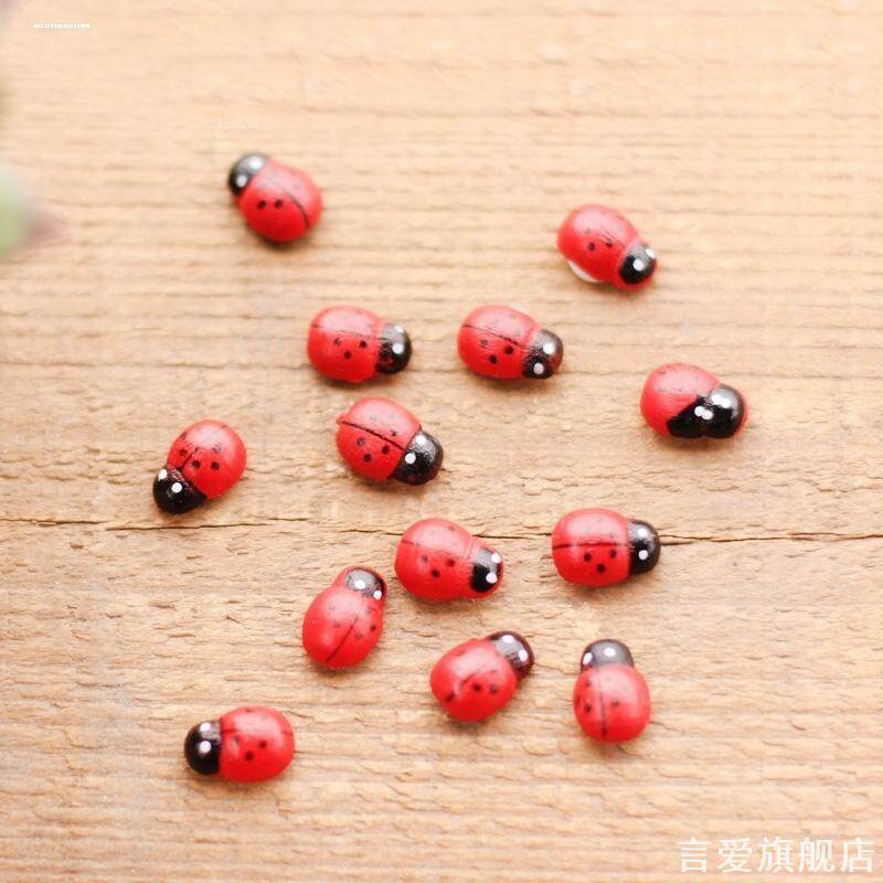 苔藓微景观饰品卡通七星瓢虫DIY组装小摆件摆件迷你版盆景模型