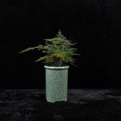 龙泉青瓷中式兰花盆古典微型景盆