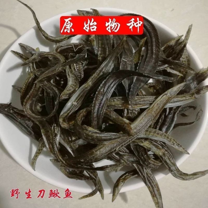 淡水湖江苏特产鱼干刀食用农产品