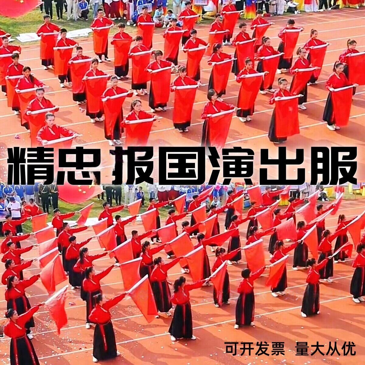 精忠报国红旗舞中小学生图片