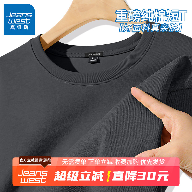 GV真维斯纯棉短袖t恤男夏季男生小众简约宽松休闲大码半袖体恤衫B