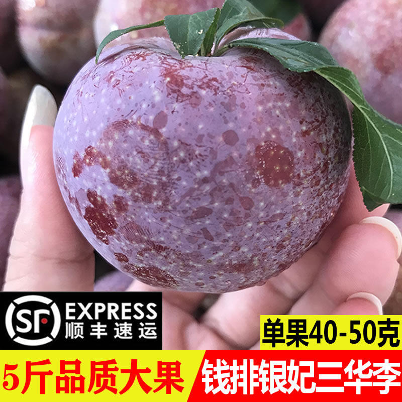 正宗钱排银妃三华李新鲜水果红心李子孕妇大果甜酸脆当季顺丰5斤