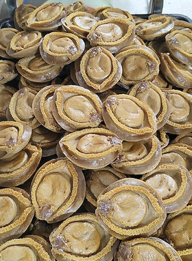 仿真海货干味道具装饰用品