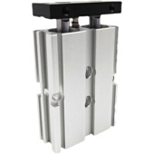 100i. 气立可型双轴导杆气缸TD10