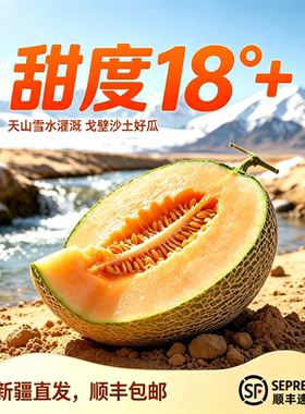 正宗新疆哈密瓜不甜包退顺丰包退
