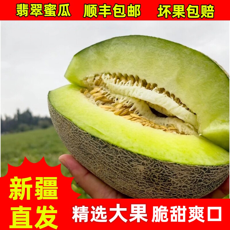 新疆翡翠蜜瓜脆甜多汁10斤包邮