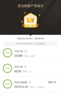 淘宝联盟快速升级高级帐号账户佣金包月包年特价震撼正品全包操作