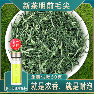 云雾四川峨眉山新茶叶直条毛尖