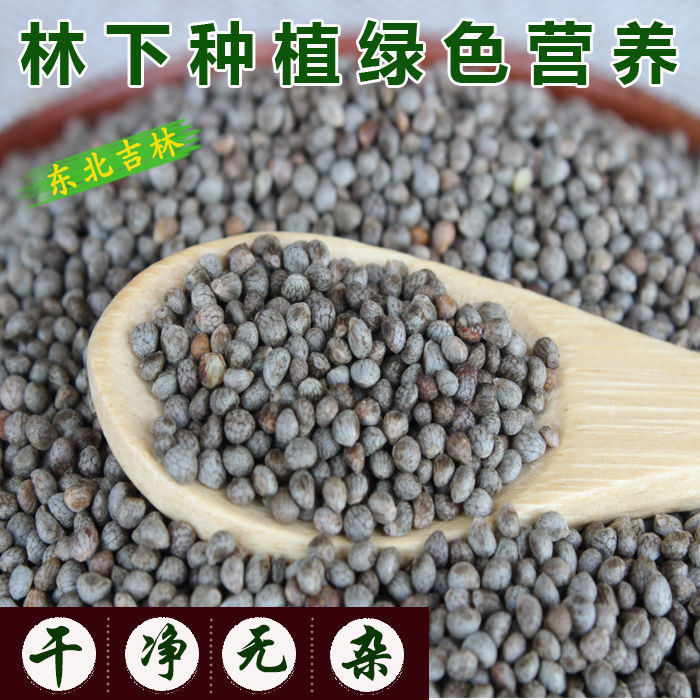 东北生苏子长白山紫苏籽榨油原料