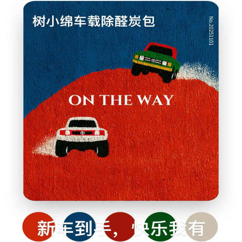 车载除味除味多效炭包快速除味除甲醛守护健康呼吸椰壳活性炭包
