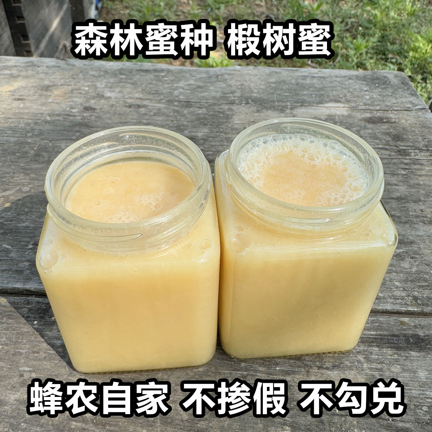 堂春家东北椴树蜜雪蜜纯正天然孕妇儿童正品真蜜挤压瓶结晶蜜野生