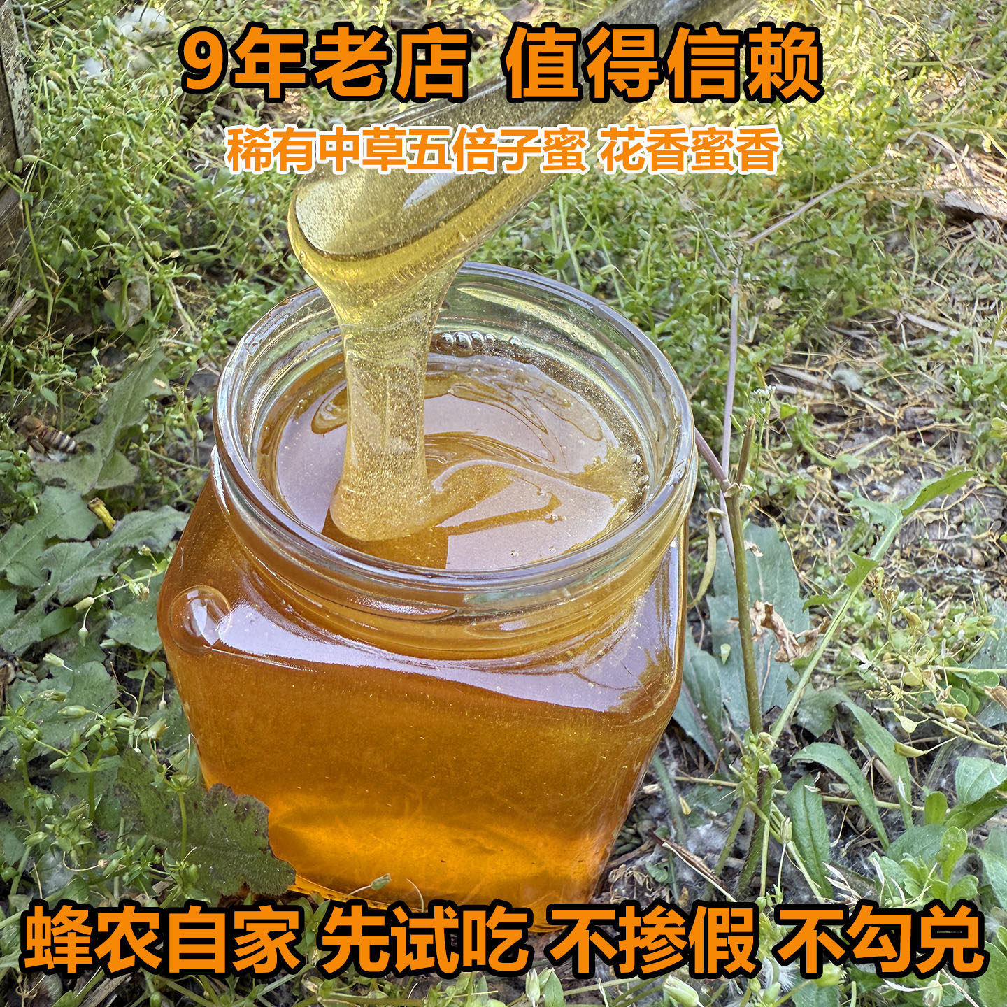 2026新蜜五倍子蜂蜜中草蜜纯正天然野生农家蜂蜜孕妇正品结晶蜜