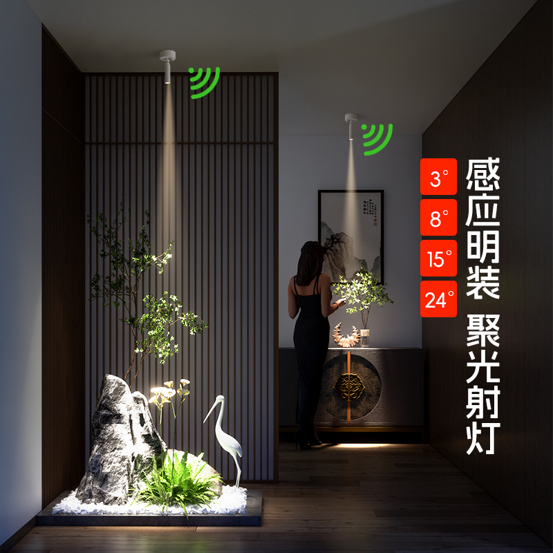 明装感应射灯吸顶式3度8度光束小角度入户玄关15度小束聚光氛围灯