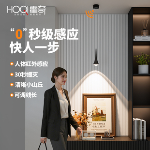 智能人体感应吊灯可升降高级感玄关水滴隔断玻璃入户门过道氛围灯