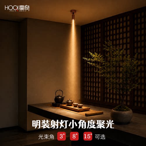 中古风胡桃木纹明装小角度射灯