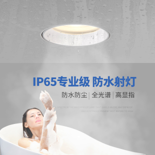 无边框防水筒灯卫生间防水防雾射灯厨房浴室专用预埋嵌入式 天花灯