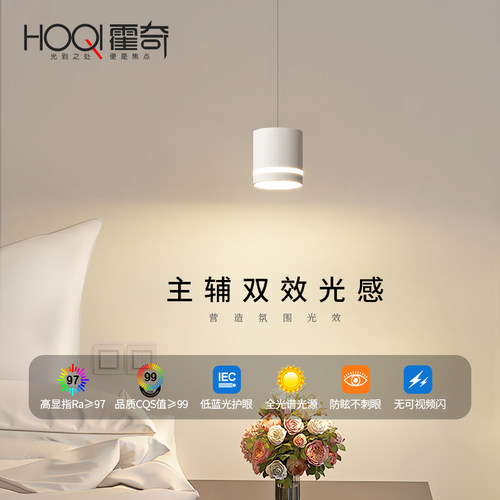 全光谱可升降小吊灯2025新款极简现代简约玄关卧室床头护眼吊线灯