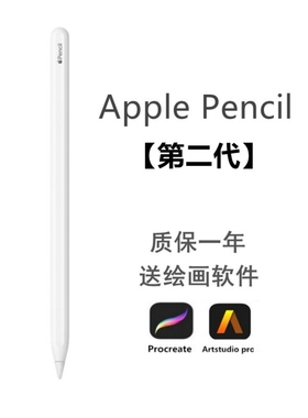 Apple/苹果 二代笔pencil2代原装手写笔平板压感笔iPad笔无线连接