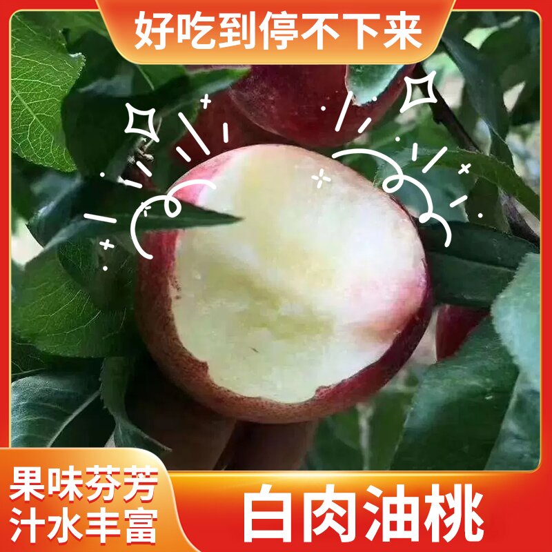 油桃现摘新鲜水果应季桃子脆甜油桃香甜可口整箱包邮