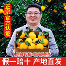 正宗赣南脐橙新鲜水果江西赣州产地直发手剥大甜橙10斤装 孕妇橙子