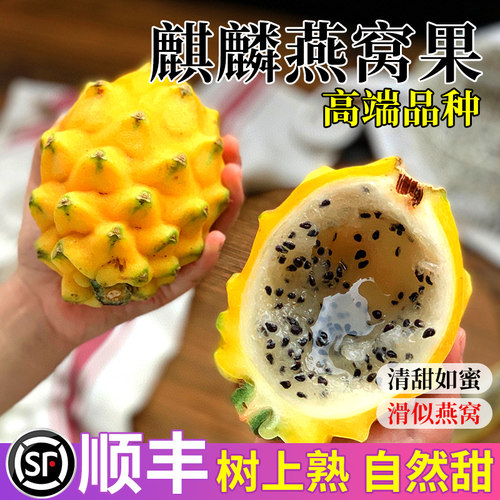 正宗海南燕窝果新鲜水果特产黄金大果麒麟燕窝果顺丰礼盒一级现摘