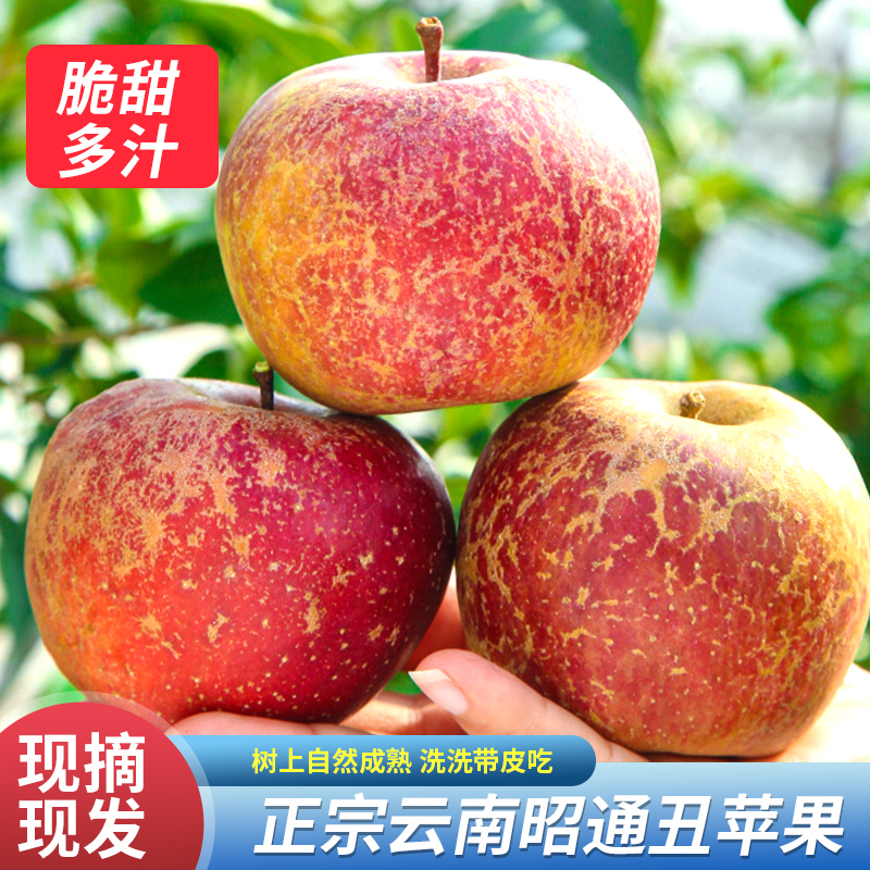 云南昭通糖心丑苹果脆甜多汁