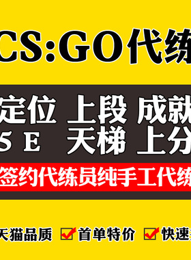 CSGO代练完美5E天梯上分CS2起源2定级赛等级胜场官匹段位B5代打