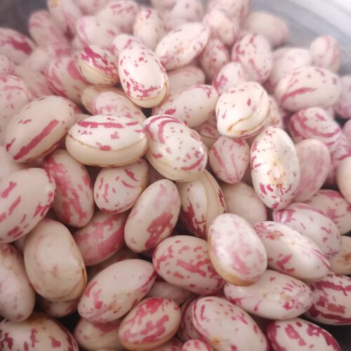 花脸豆雀蛋豆干豆3斤包邮