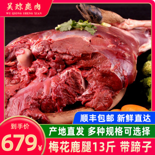 吴琼 梅花鹿肉 鹿肉新鲜 鹿腿整只带蹄子鹿肉新鲜梅花鹿肉