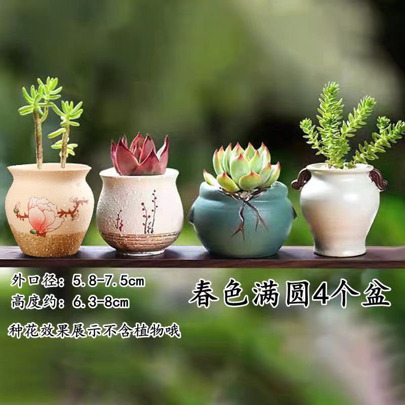 多肉花盆陶瓷多肉植物粗陶复古素烧紫砂家用创意大小简约特价清仓