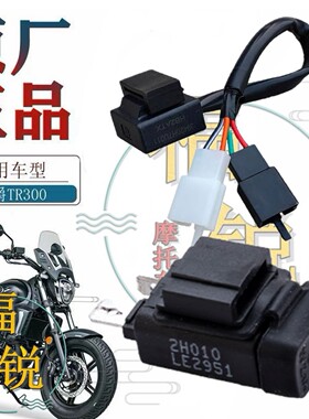 TR300HJ300-3/5原厂USB充电器