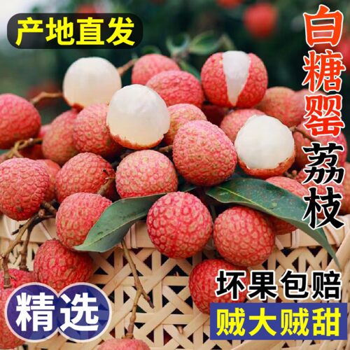 顺丰包邮广东茂名高州白糖罂荔枝5斤新鲜水果现摘现发超甜多汁