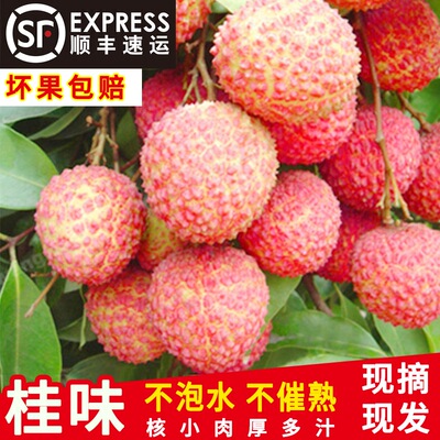 顺丰包邮广东茂名高州桂味荔枝5斤新鲜水果现摘现发超甜多汁