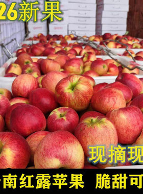 云南昭通红露苹果脆甜