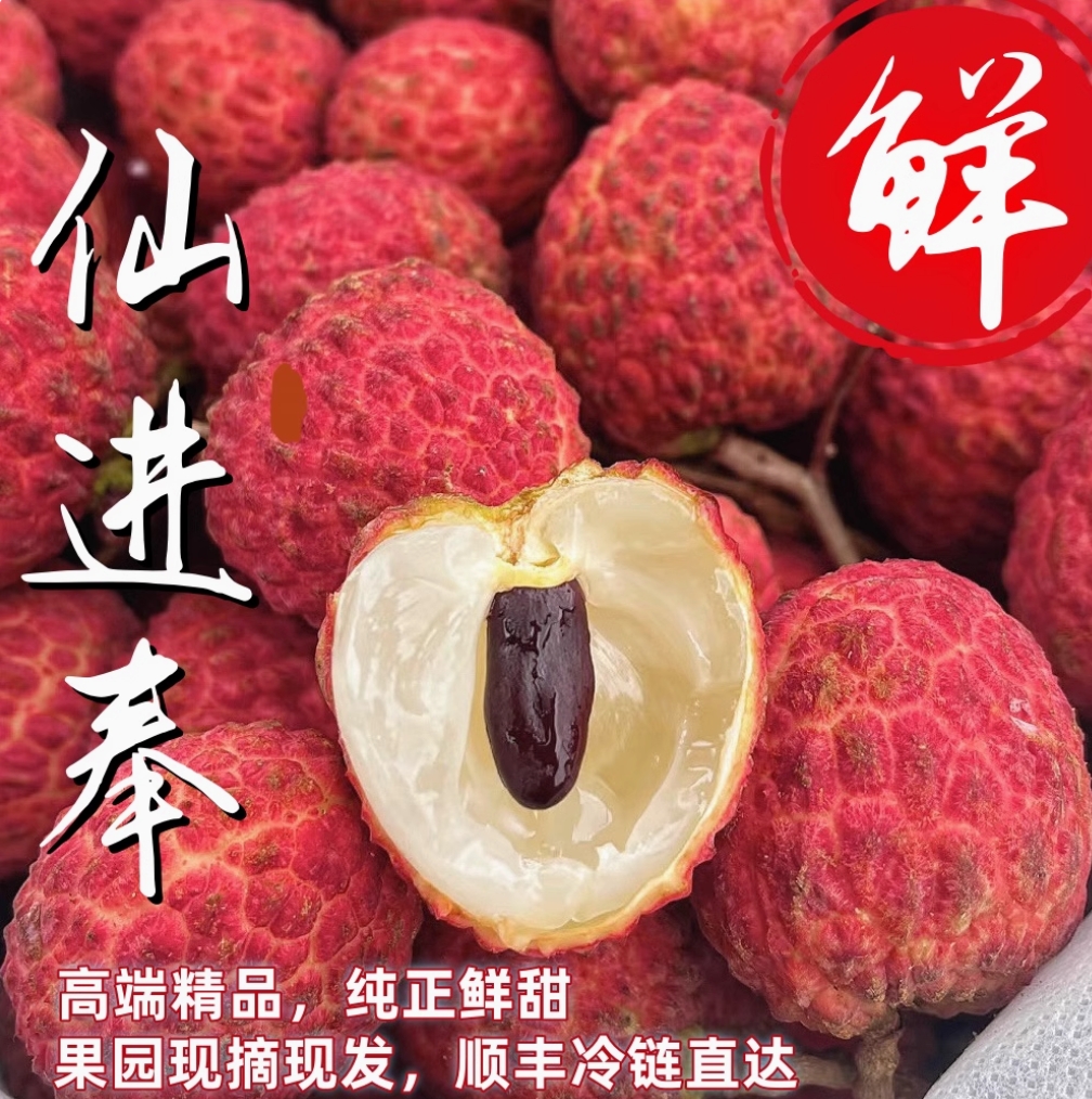 顺丰茂名高州仙进奉荔枝4.5斤