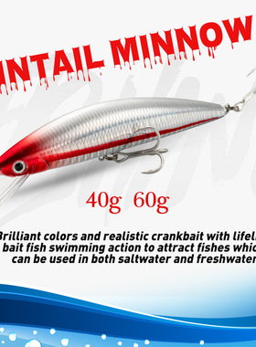 米诺pintail minnow 40g60g韩国拖钓海钓船钓金枪马鲛鱼路亚饵