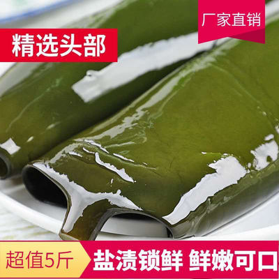 新鲜盐渍海带头大连旅顺海带绿色