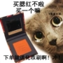 Chính hãng NyceMakeup Cream Apricot Orange Không thấm nước làm sáng màu da Trang điểm màu nude Nữ Rouge Powder Flower Box Red Tấm - Blush / Cochineal phấn má nars mini