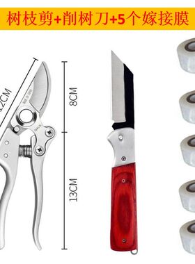 德国进口钢【1.4116】果树嫁接刀芽接刀园林嫁接膜全套嫁接工具
