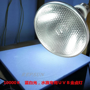 锦鲤金卤灯10000K全光谱uvb冷白光琥珀荧光蓝水族灯70w金属卤素灯