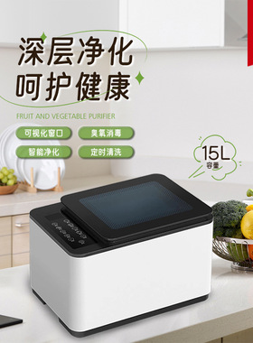 可视化窗口果蔬清洗机家
