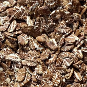 黑麦片生即食藏血纯麦片袋装 冲饮即食全麦无糖精无脱脂速食燕麦片