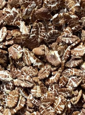 低脂袋装冲饮无糖精速食黑燕麦片