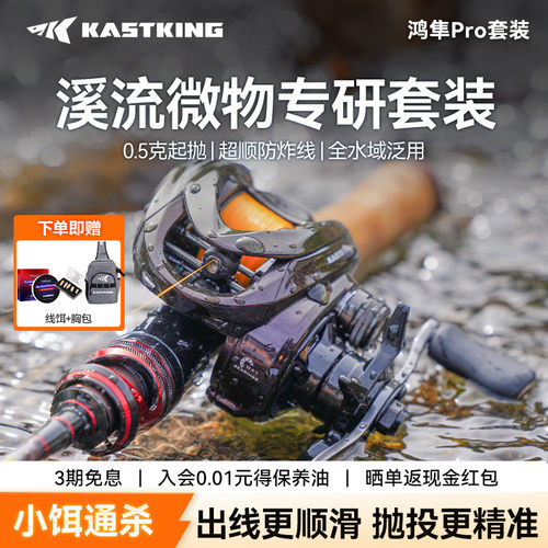 卡斯丁鸿隼pro路亚竿全套微物套