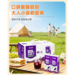 12盒 宝桑园 纯桑果汁200ml NFC桑葚汁 6盒桑果饮料农科院 100%