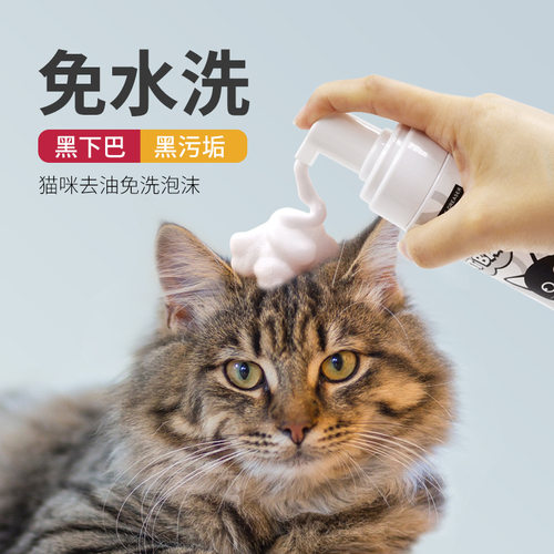 无毛猫去油黑下巴干洗泡沫
