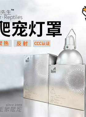 爬先生高反射银色灯罩