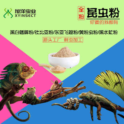 蟋蟀粉东亚飞蝗粉黄粉虫粉