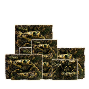 CM爬箱用背景板3D立体背景墙爬箱生态造景雨淋造景