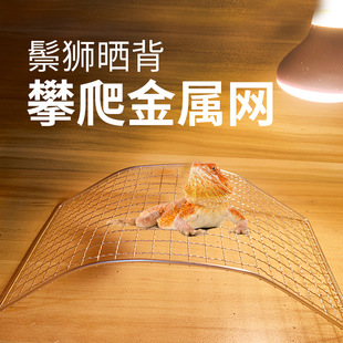 鬃狮金属网爬台爬虫攀爬架子蜥蜴攀爬伞蜥幼体成体晒背休息台